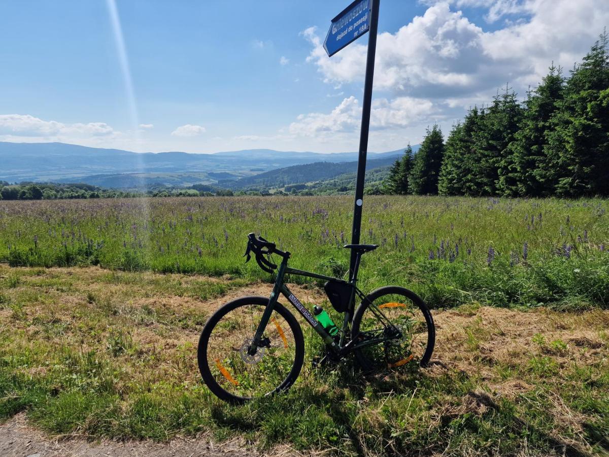 All Season Klimatyzowany Dom Przy Szlaku Z Prywatnym Tarasem I Widokiem Na Gory Orlickie - Sudety Sauna&Jacuzzi, Skalne Miasto Lasowka Екстериор снимка